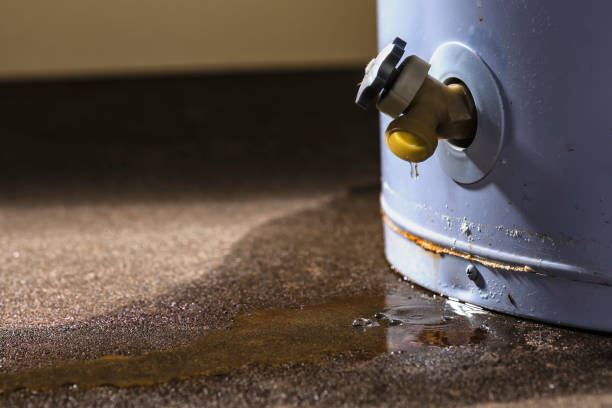 Best Flood restoration services  in Bonham, TX