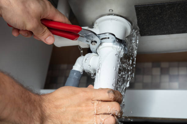 Best Mold removal after water damage  in Bonham, TX
