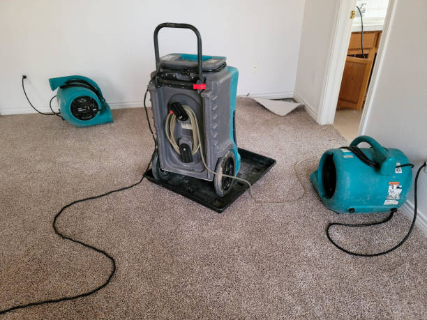 Best Basement water damage restoration  in Bonham, TX