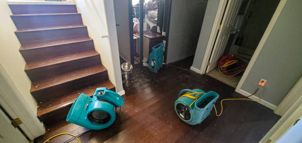 Best Water damage restoration mold remediation  in Bonham, TX