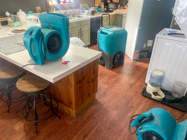 Best 24-hour water damage restoration  in Bonham, TX
