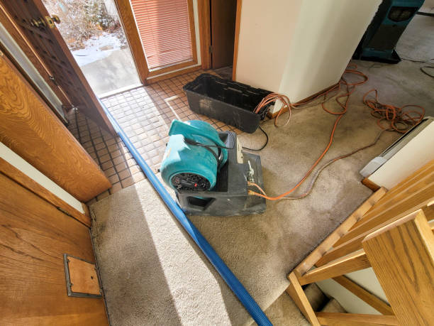 Best Water damage restoration insurance claims  in Bonham, TX