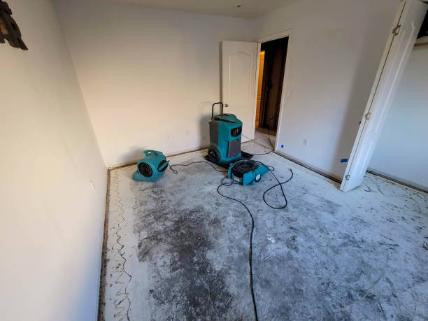 Best Commercial water damage restoration  in Bonham, TX