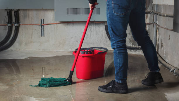 Best Sewage cleanup and water damage restoration  in Bonham, TX