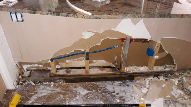 Best Local water damage restoration  in Bonham, TX