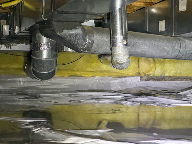 Best Ceiling water damage repair  in Bonham, TX
