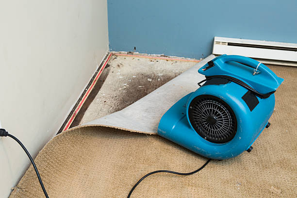 Best Water damage restoration near me  in Bonham, TX